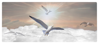 DNSEMP-L-101-BZ Journey Home Clouds Birds Bronze